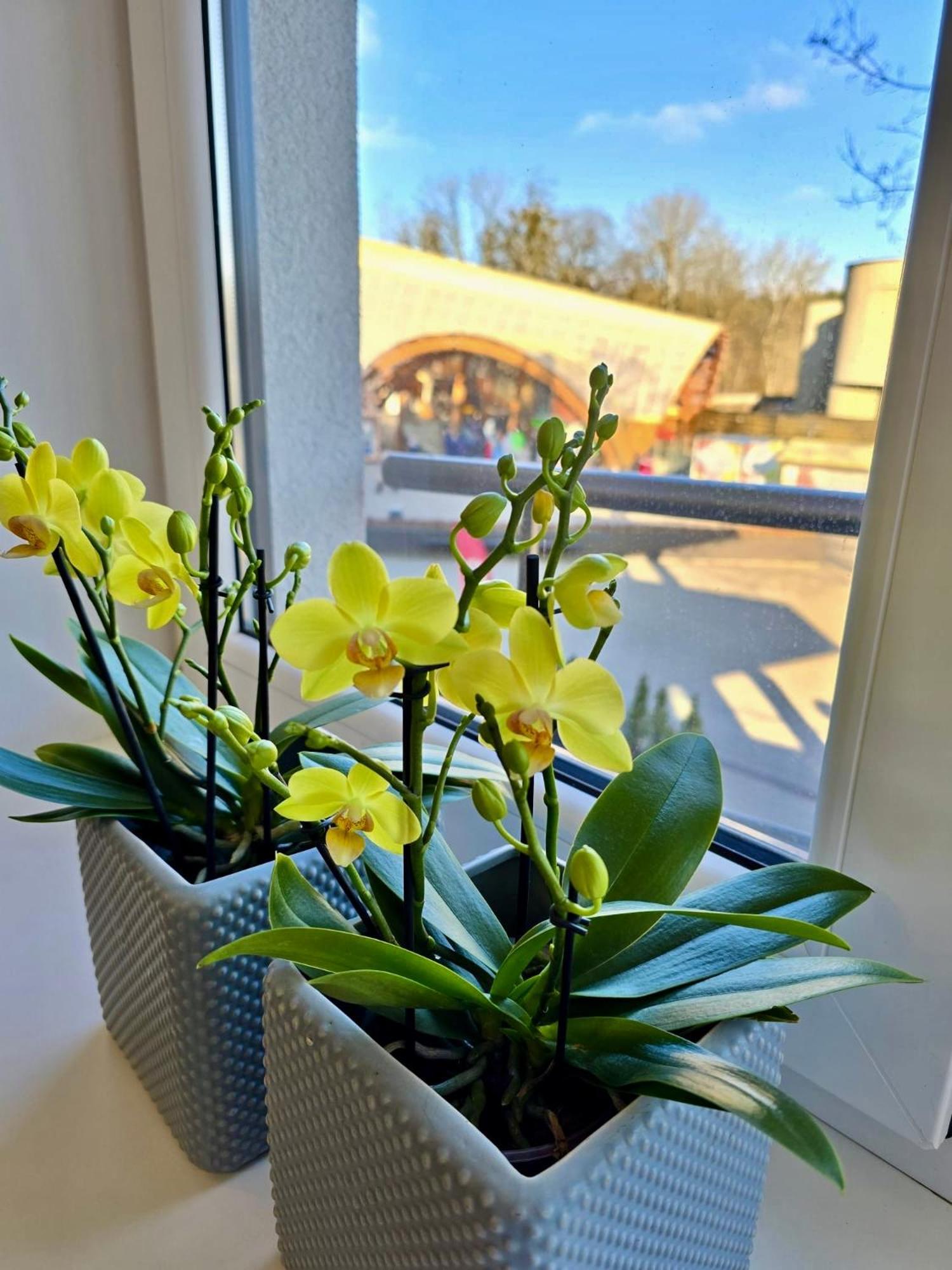 Alejos Apartmentai Comfort Druskininkai Luaran gambar